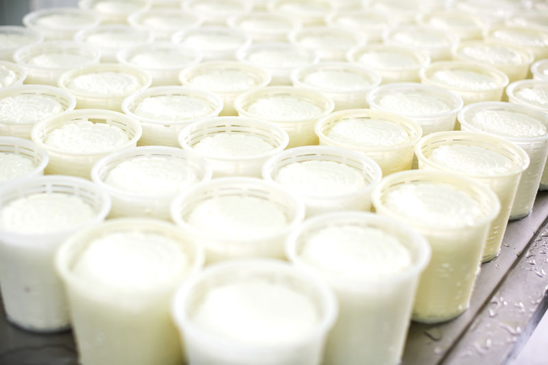 Friesen Nutrition disinfect yogurt factory